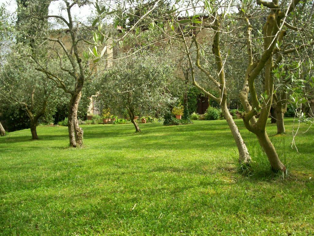 Podere Il Caggio Rooms 산지미냐노 외부 사진
