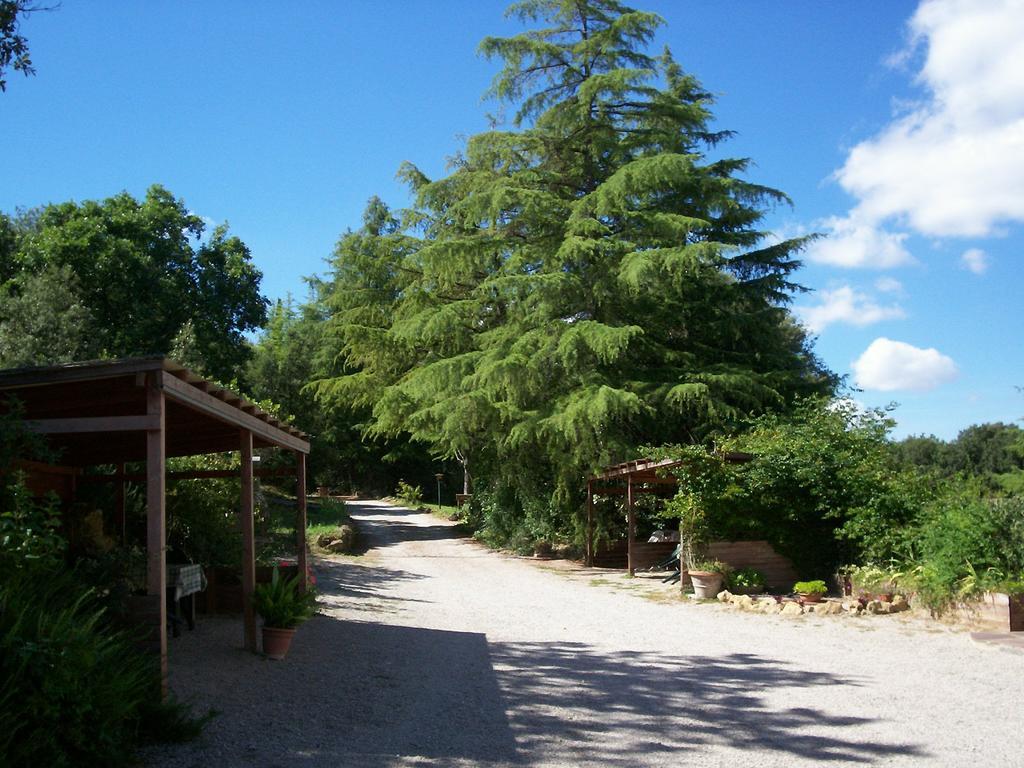 Podere Il Caggio Rooms 산지미냐노 외부 사진